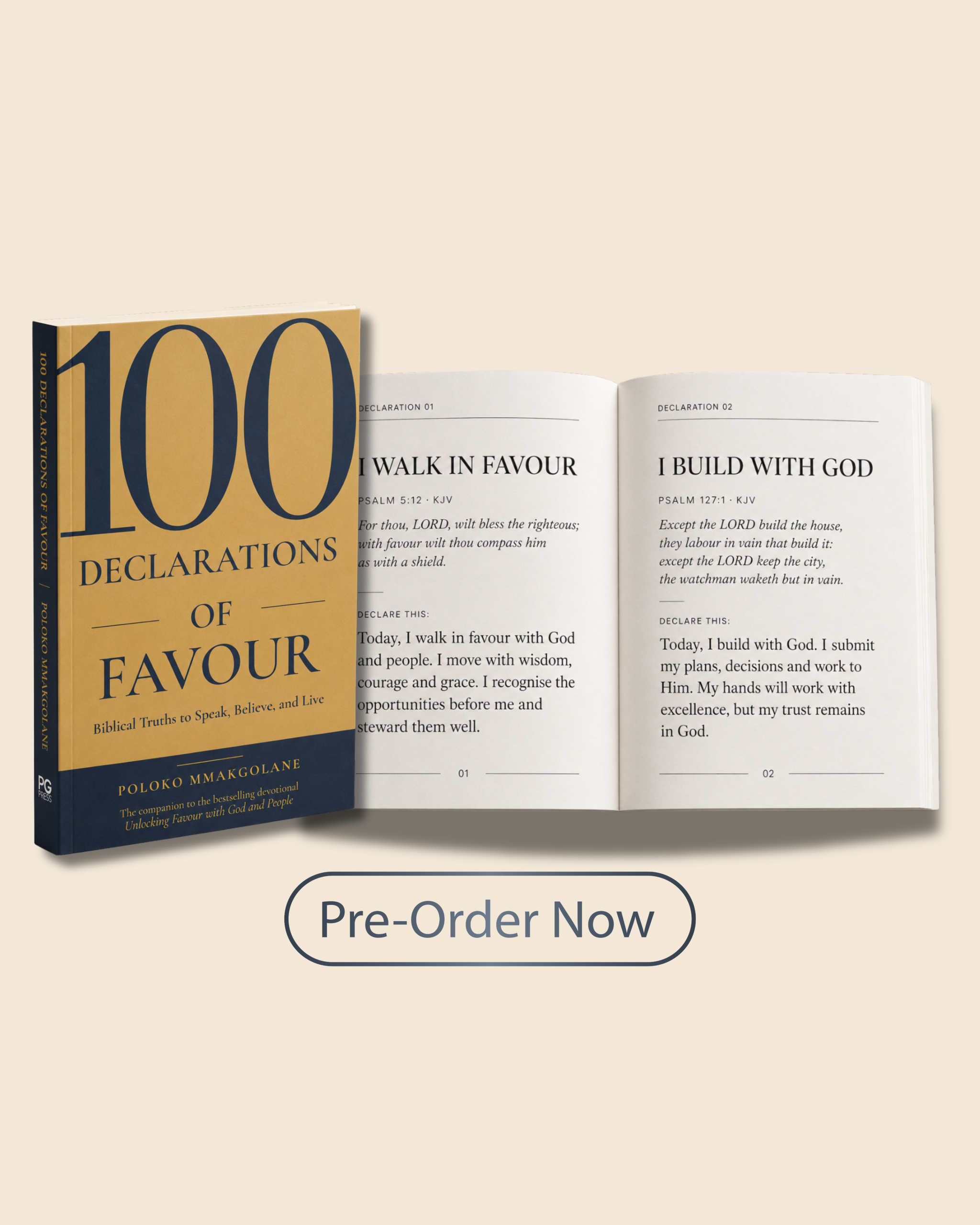100 Declarations of Favour (Pre-order)